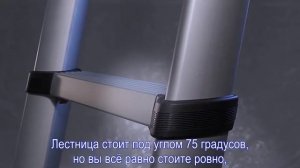 Telesteps - телескопические лестницы