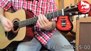 Акустическая гитара HOHNER HW220