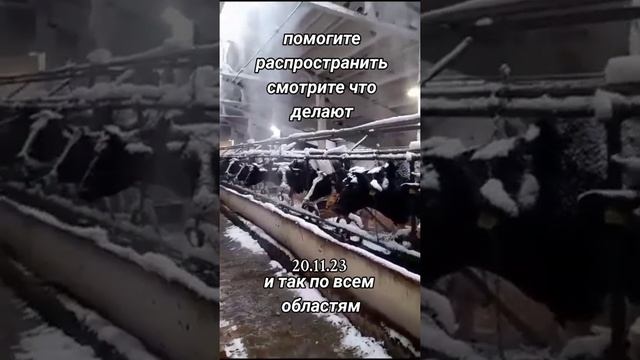 Липецкая обл , Добринский район , совхоз Петровский ! смотреть онлайн