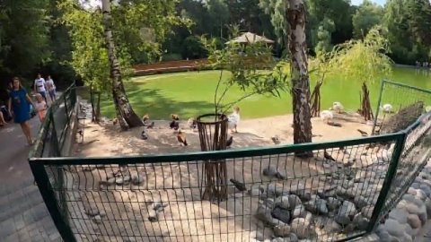 НОВОСИБИРСК ЗООПАРК/НАШ ОБЗОР #зоопарк #новосибирск