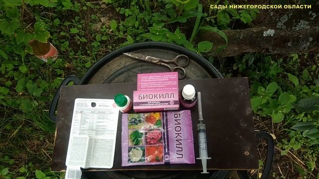 Клещ на клубнике.Чем обработать клубнику во время цветения от клеща смотреть онлайн