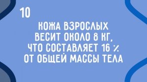17 Удивительных Фактов о Человеческом Теле