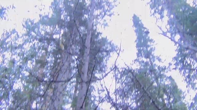 Тайга Рыбалка Охота Сибирь Выживание Бушкрафт 77 Лес Счастливые люди смотреть онлайн