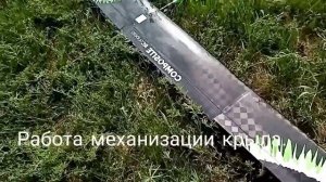 Обзор планера класса F5J