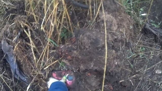 КЛАДОИСКАТЕЛИ // НАШЛИ ПЫЛЕСОС