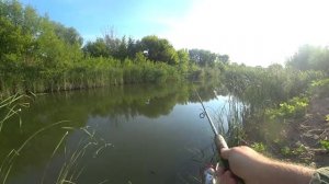 ЭТОТ ТЕЙЛ-СПИННЕР ЩУКА НЕ ПРОПУСКАЕТ МИМО/ РЕКА "ЧИР"