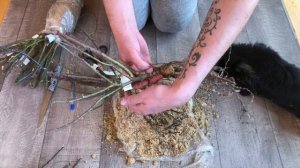 РОЗЫ ОТ ЯНЫ. Питомник роз РОЗОВАЯ КЛУМБА. РАСПАКОВКА ПОСЫЛКИ. ОБЗОР САЖЕНЦЕВ РОЗ С НАЗВАНИЯМИ. БРАВ