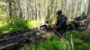 12 ИЮНЯ 2023 Г    По лесовозному зимнику квадроциклы Сокол и как Сокол, Стелс, ЦФ,  РМ и переломка