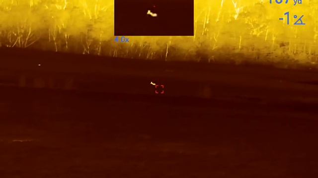 Pulsar Thermion 2 XP50 LRF Pro Summer Coyote Hunt смотреть онлайн