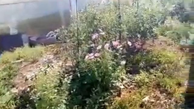 Влог мама красит на крышепомогаем тётипроблемы с печкой в банебочка