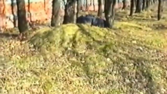 Искусство снайпера Укрытие типа Колесо смотреть онлайн