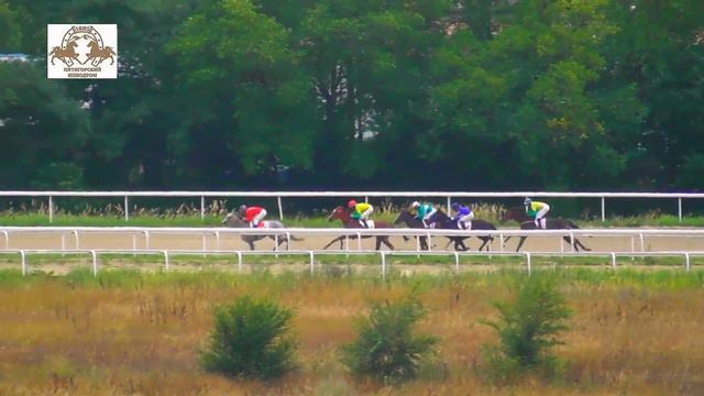 14.08.2022 -Приз реки Волги на кобылах 2-х лет чистокровной верховой породы - Легенда Глори смотреть онлайн