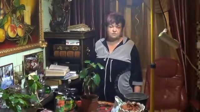 Гибискус( Китайская Роза). Пересадка Гибискуса. Как Размножать Гибискус