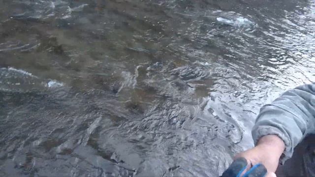 ХАРИУС В ОКТЯБРЕ ПО ШУГЕ. СОБИРАЕМСЯ ДОМОЙ С БАТЕЙ. ч/3 смотреть онлайн