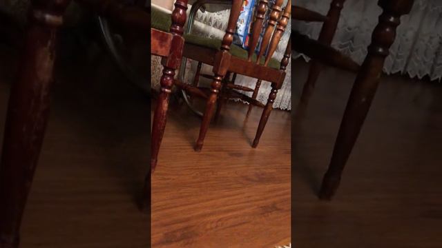 Самые опасные животные Африки смотреть онлайн