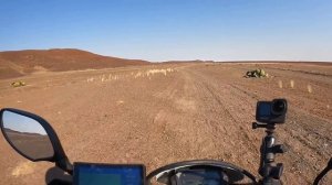 Only one plant can grow here. EXTREME NAMIBIA!  [S5 - Eps. 53].