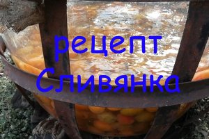 Сливянка, наливка из слив на домашней водке, домашний рецепт.