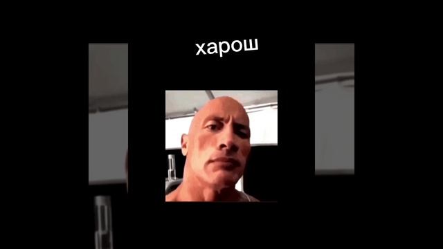 СКАЛА ПРОТИВ СИГМЫ! ОТМЕЧАЙТЕСЬ В КОМЕНТАХ!!!! #скала #сигма
