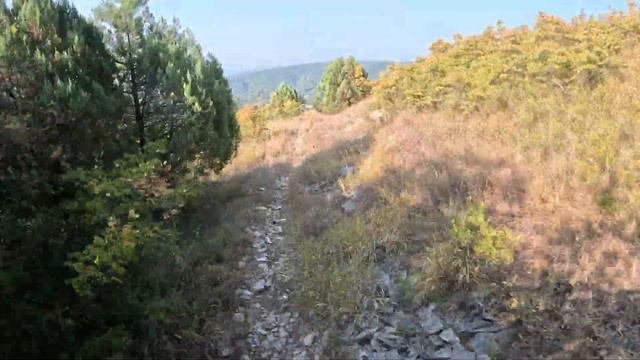 Эндуро Гонка "Нексис" Геленджик. 1 позиция. смотреть онлайн