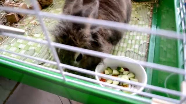 Бусин влог! смотреть онлайн