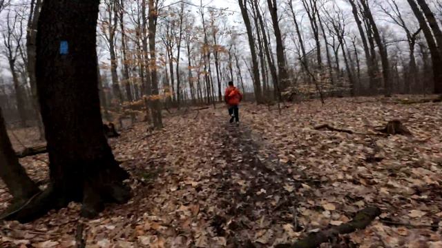 Saturday March 2, 2024. Warm overcast early March. 3/10 смотреть онлайн