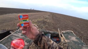 Охота на гуся 2023.Весновка .От Калмыкии до Саратова области. Гусятникам посвящается. Песни о Охоте