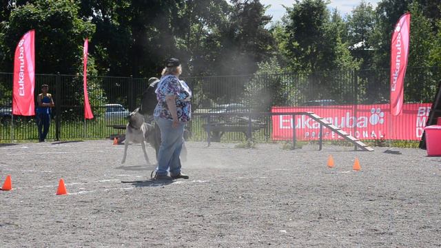 Участник № 13 4 этап смотреть онлайн