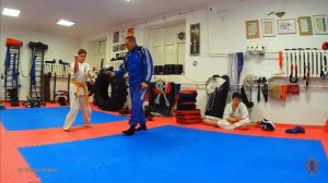 Фрагменты подготовки Сантин ката 4 кю   Зелёный пояс Киокусинкай каратэ