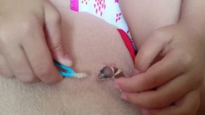 Купили на Птичьем рынке эублефара с рахитом....