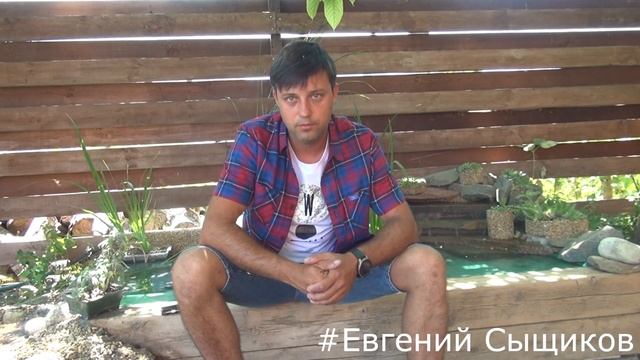 Нитчатка. Заблуждения. Ошибки. Проблемы прудов. Жестокая правда. часть 2 смотреть онлайн