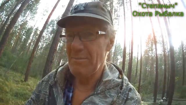 Маленькая лайка Прогулка с Гердой по лесу 30 07 21 смотреть онлайн