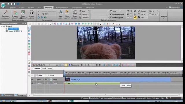 Как написать текст на видеозаписи в VS DC Free Video Editor смотреть онлайн
