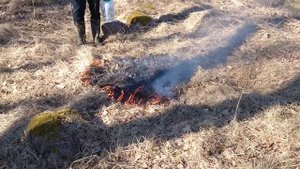 Русская Противопожарная Пропитка ( РПП ) по лицензии OÜ MultiPro System