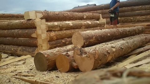 Рублю чистый угол #рубщик #сруб #деревянныйдом #строительство