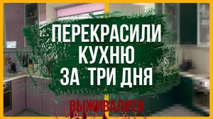 Перекрасили ГЛЯНЦЕВУЮ кухню, за три дня, и остались в живых.