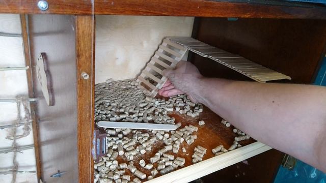 Новоселье у крыски Кати / Housewarming in rats смотреть онлайн