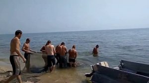 промысел бычка с берега на бердянской косе