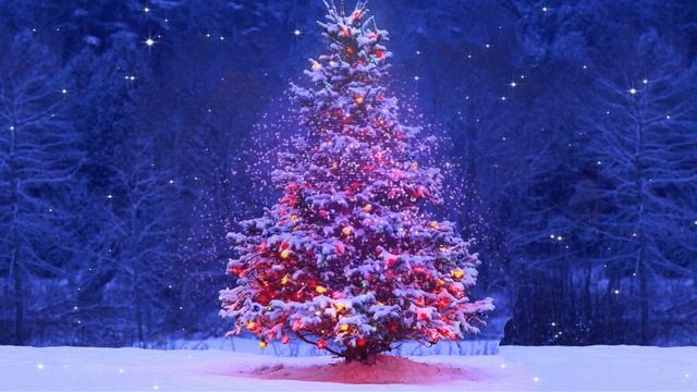 Обращение и поздравление 2023 - 2024 смотреть онлайн