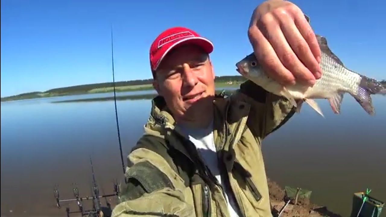 КАРАСЬ НА ДОНКИ!ЛУЧШИЙ МОНТАЖ НА КАРАСЯ.ЭЛЕКТРОННЫЕ СИГНАЛИЗАТОРЫ ПОКЛЕВОК. РОДПОД ИЗ ДЕКАТЛОНА. смотреть онлайн