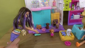 Barbie and Ken Pet Care Story: Barbie Pet Clinic, Chelsea's Train, Skippers New House, Barbie Pets
