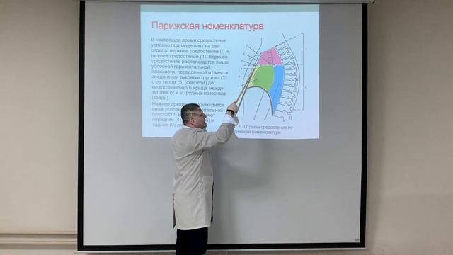 Средостение / MEDIASTINUM