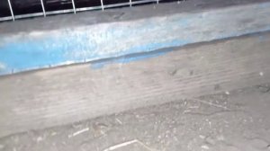 Первый этап постройки клетки для нутрий.