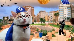 Кот на разных языках мира