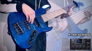 Sadowsky NYC Will Lee & ZOOM B6 Multi-Effects
Bass Cover : She's America
Feat : The 1975