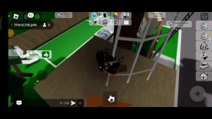 играю в Брук хевен