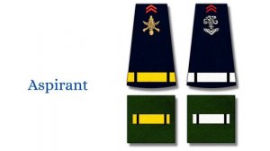 Как выглядят и звучат воинские звания во французском иностранном легионе и  французской армии.