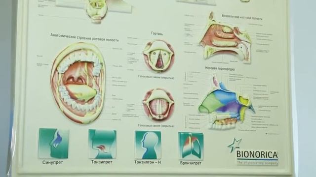 Весенние лор-заболевания у детей смотреть онлайн