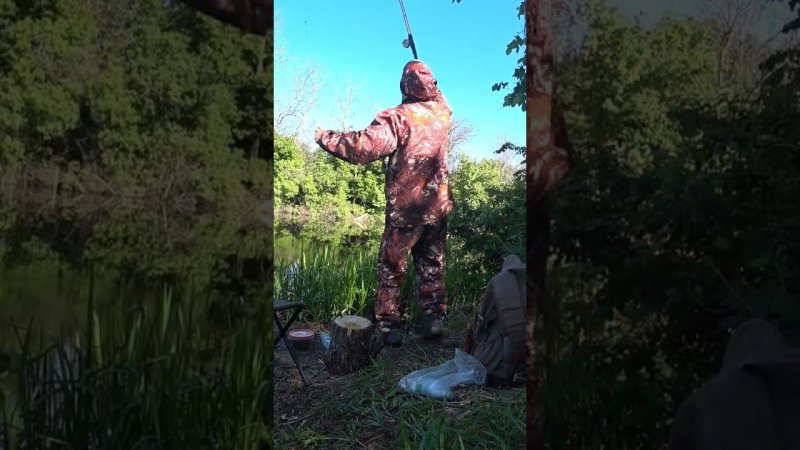 Наловил карася, на лесном озере. #рыбалка #fishing #карась