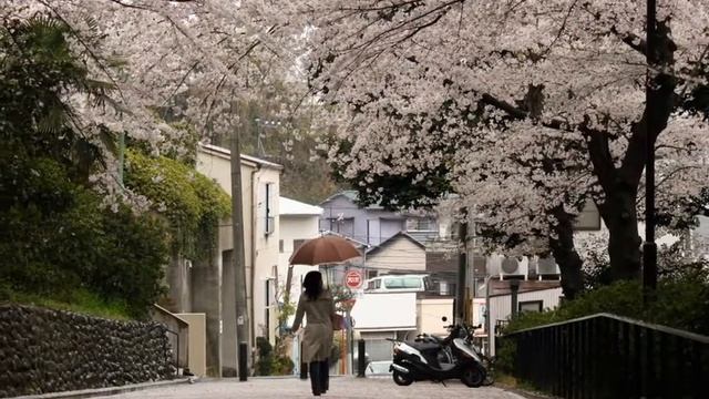 Людмила ЮРЬЕВА (живойзвук)