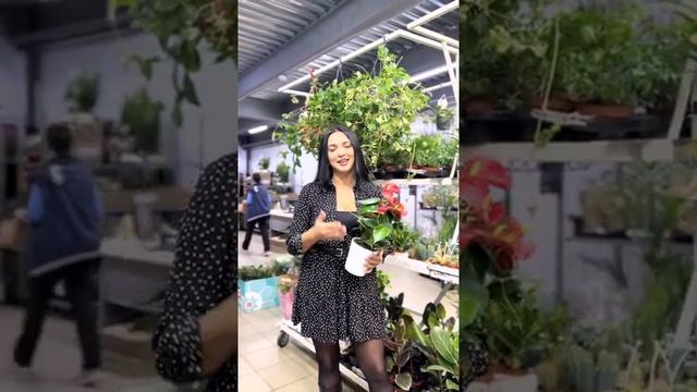 Что подарить учителю? Советы от Флора Тверь